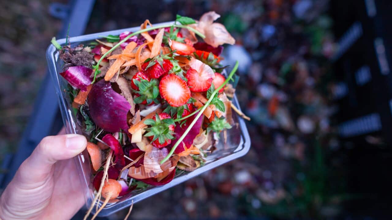 The report reveals that Australian households are responsible for 34 per cent of food wasted nationwide, spending $1026 on binned food last year.