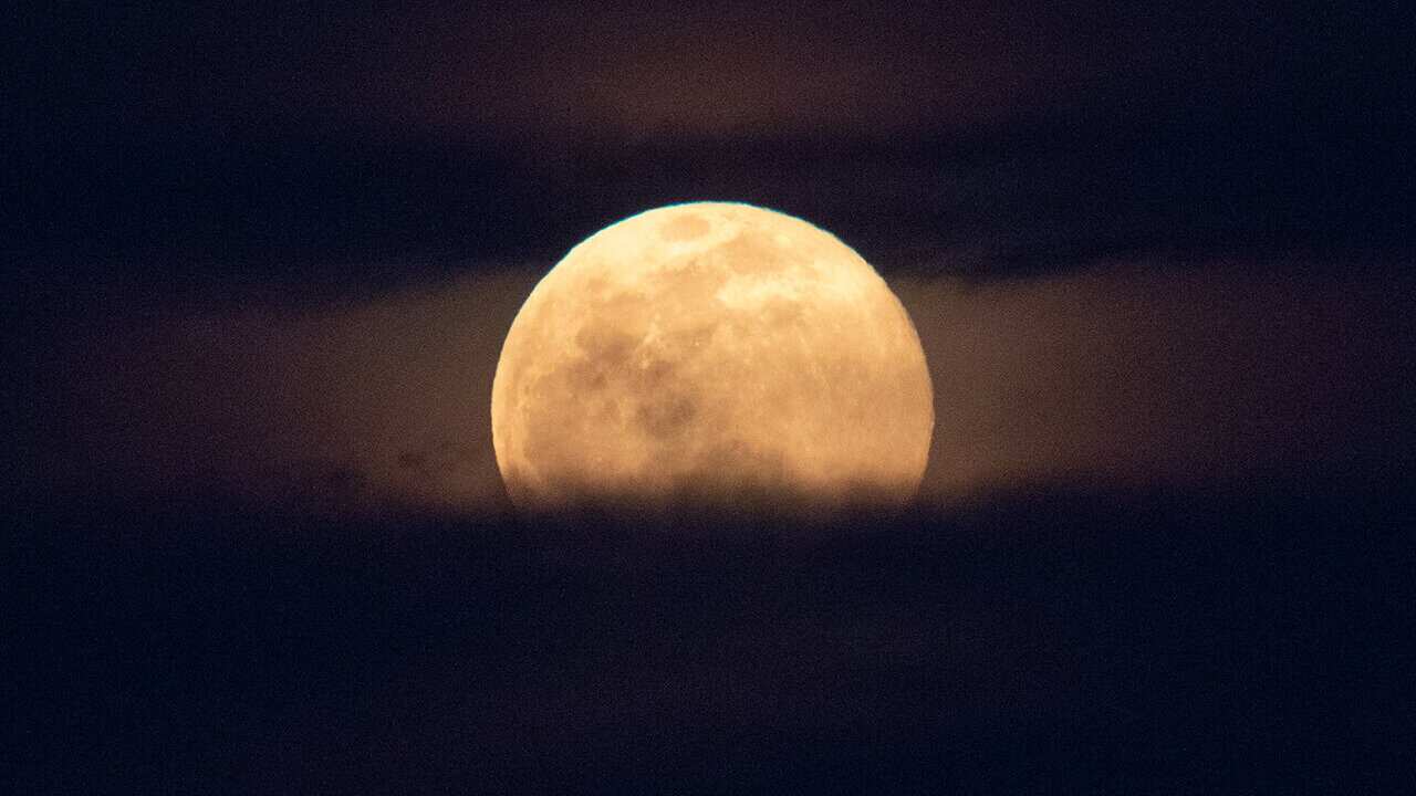 NASA/Joel Kowsky