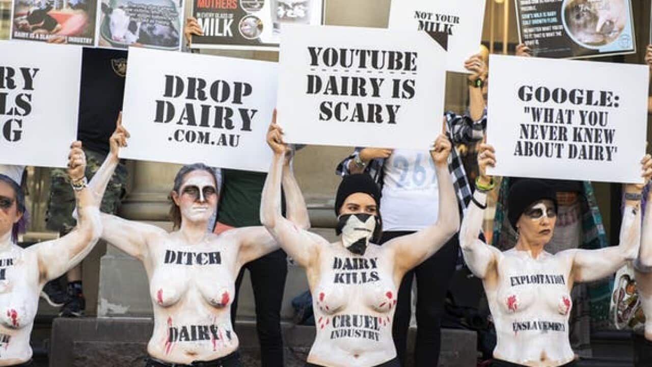 Topless animal welfare activists protest in Melbourne in February 2019 to raise awareness of what they claim is cruelty within the dairy industry.