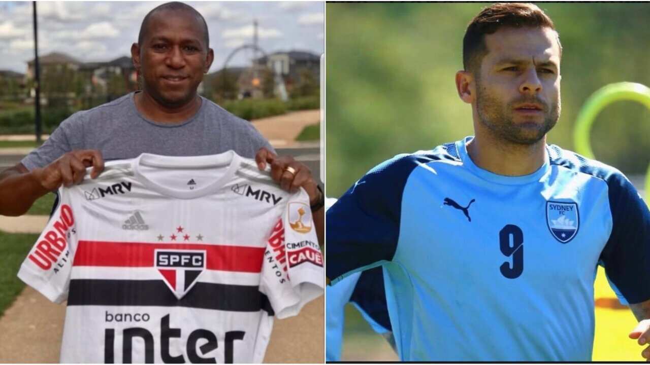 Image for read more article ''