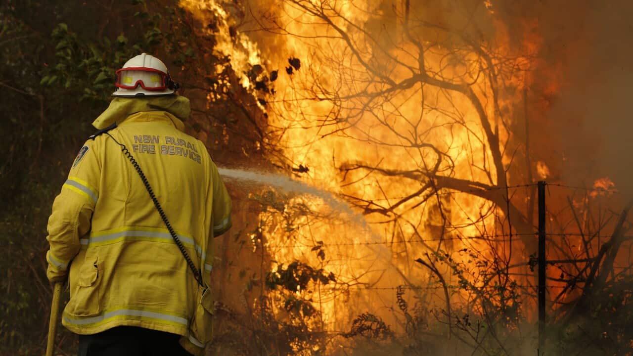 Image for read more article 'READ MORE'