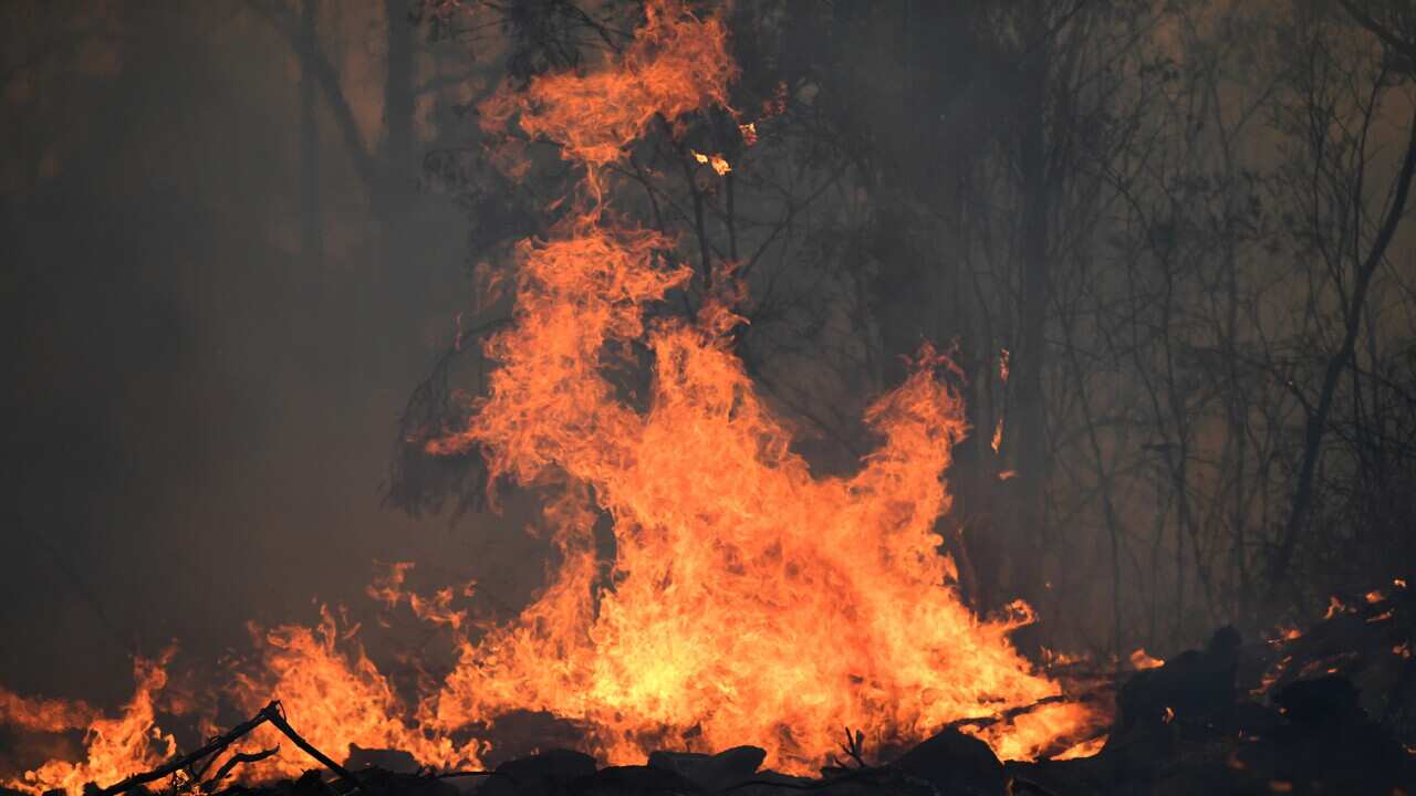 A bushfires burns around a property in Torrington, near Glen Innes, Sunday, November 10, 2019. There are more than 80 fires burning around the state, with about half of those uncontained. (AAP Image/Dan Peled) NO ARCHIVING