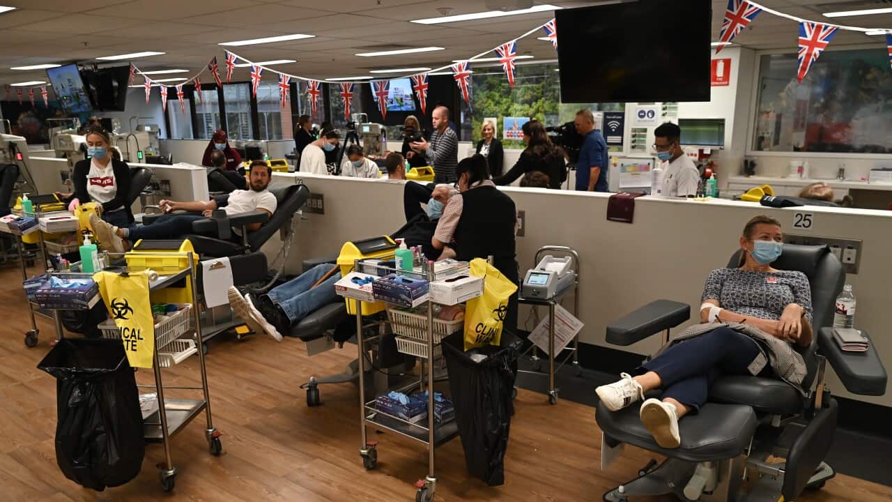 BLOOD DONATIONS SYDNEY