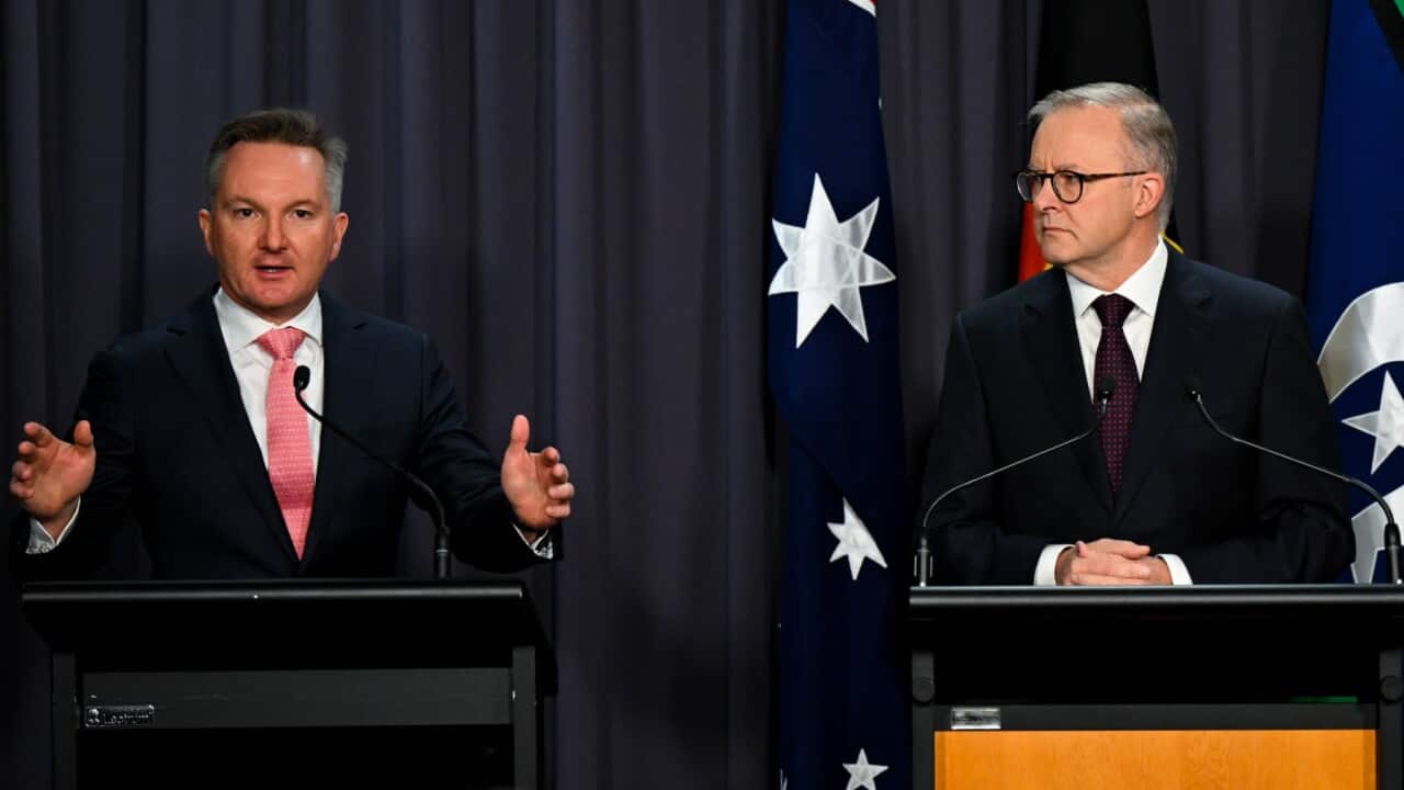 Prime Minister Anthony Albanese and Energy Minister Chris Bowen