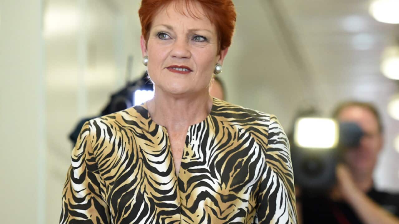 One Nation leader Senator Pauline Hanson