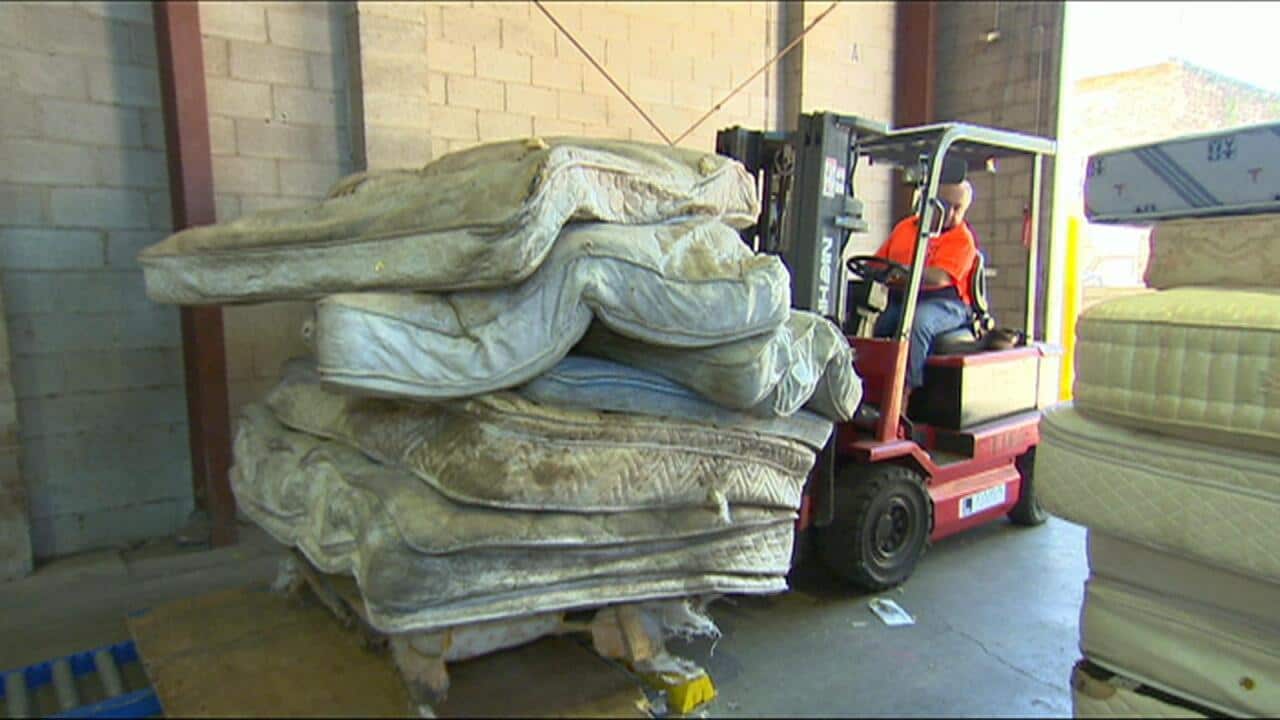 : A working day at the mattress factory (SBS)