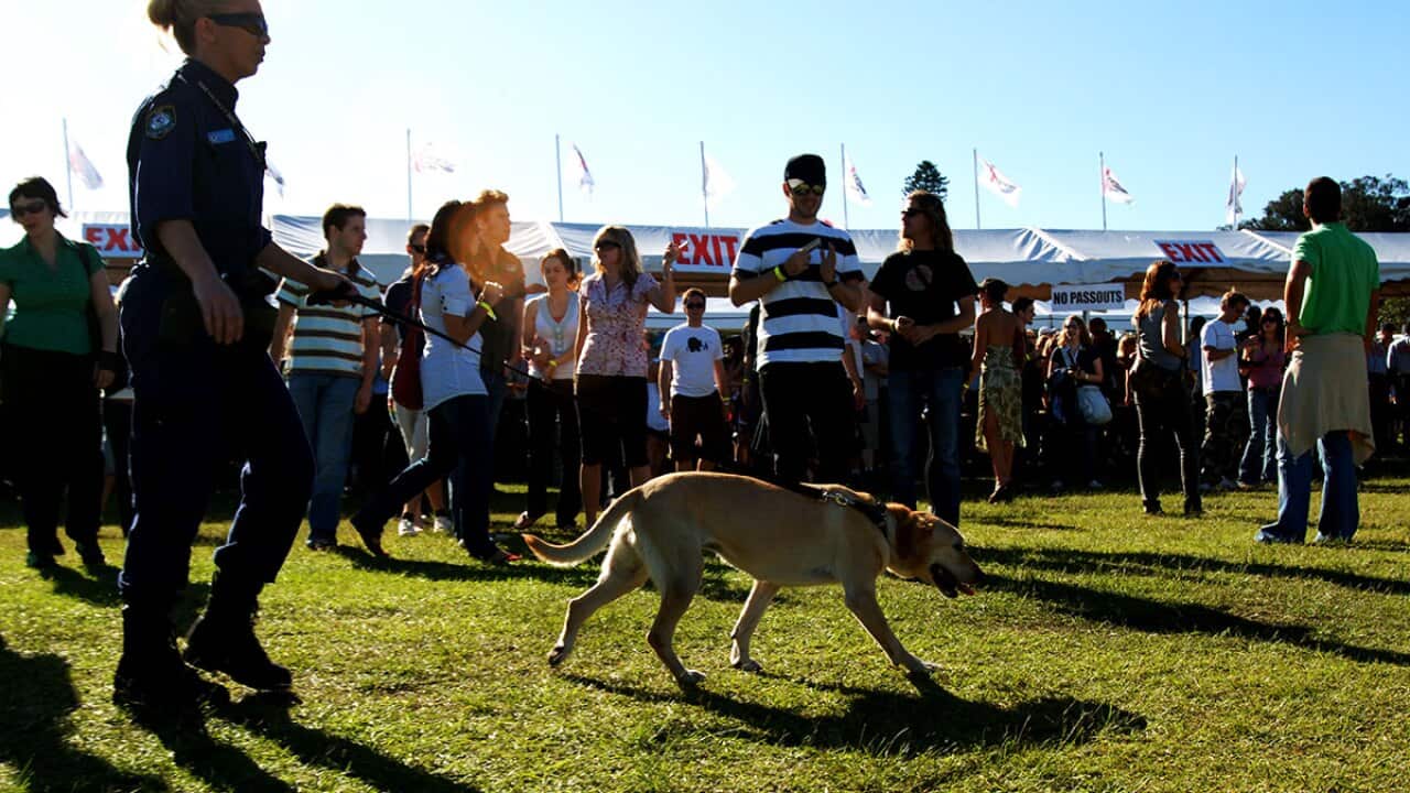 Medical experts who see these devastating results first-hand say our current approach to illicit drugs is creating an “active public health emergency”.