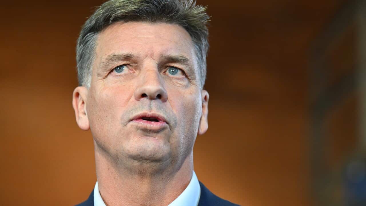 Angus Taylor, standing in front of a brown wall.