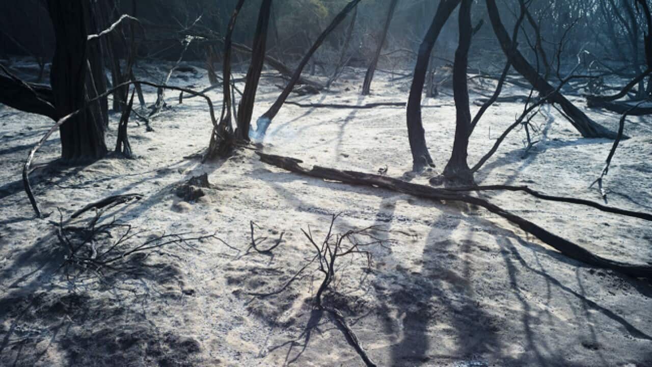 fire_margaretriver_b_aap_340731792