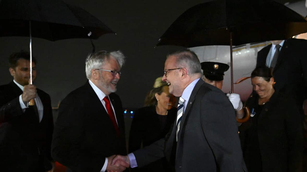 ANTHONY ALBANESE US VISIT