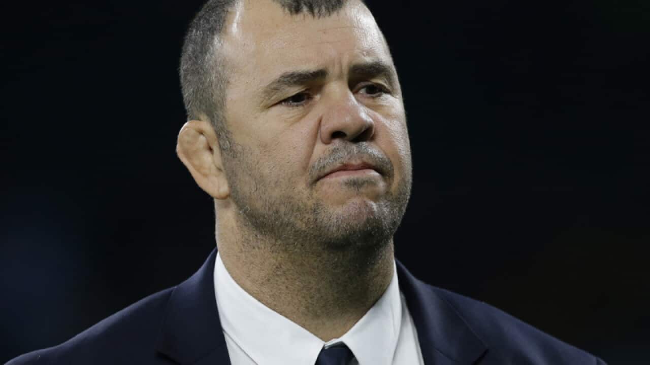 Australia's head coach Michael Cheika