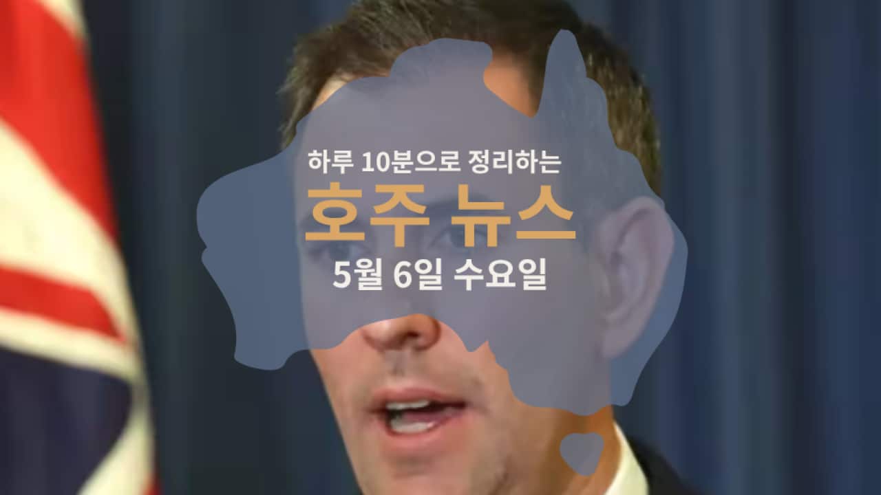 Daily News (6).png