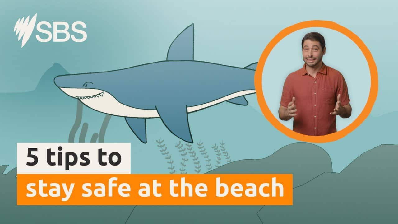 ENGLISH| 5 tips for staying safe at the beach