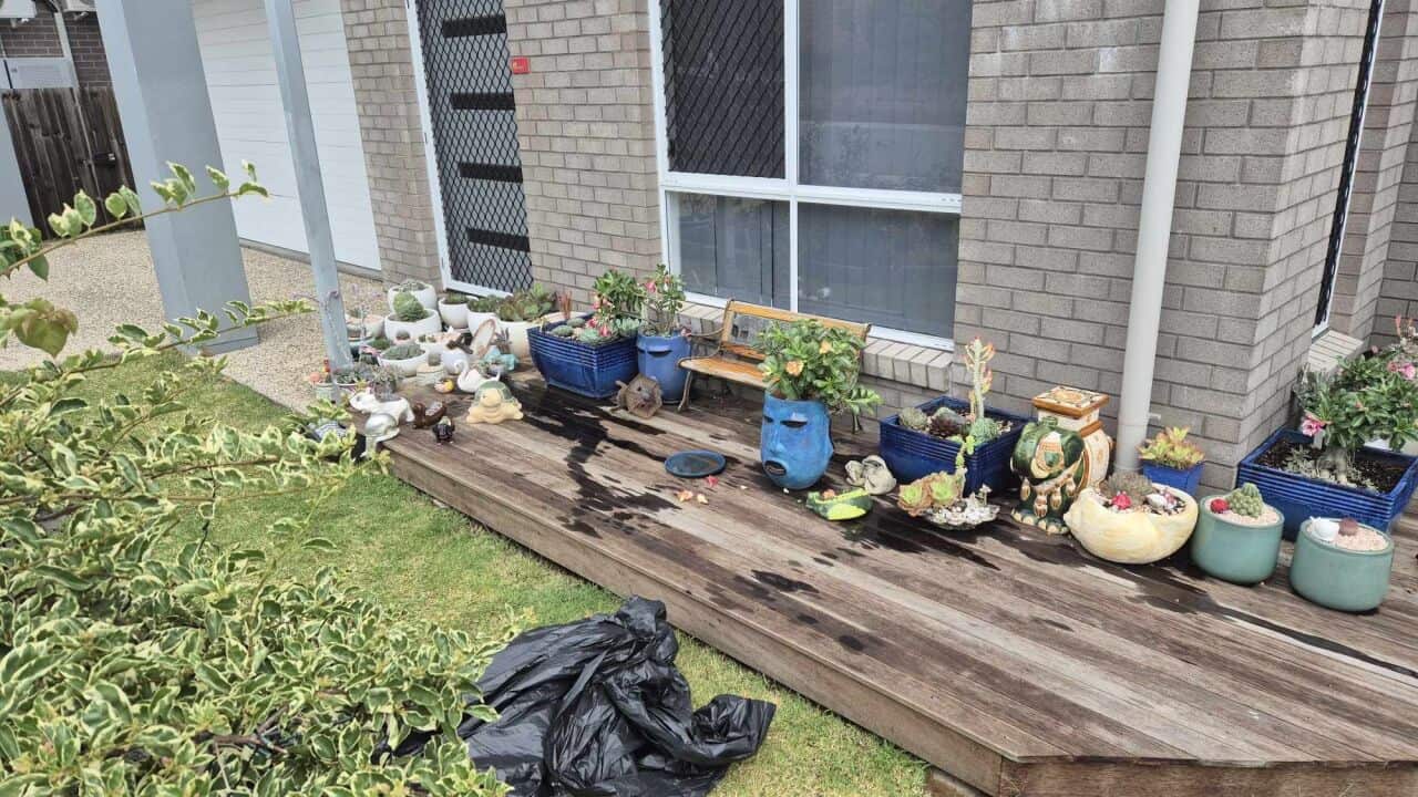 Brisbane after cyclone alfred.jpg