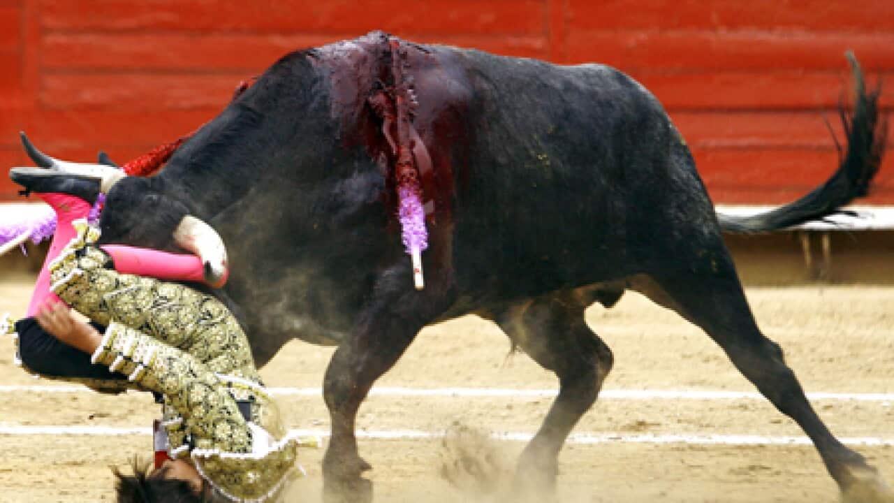 12yr_bullfighter_Michelito_100607_B_AAP_1917353280