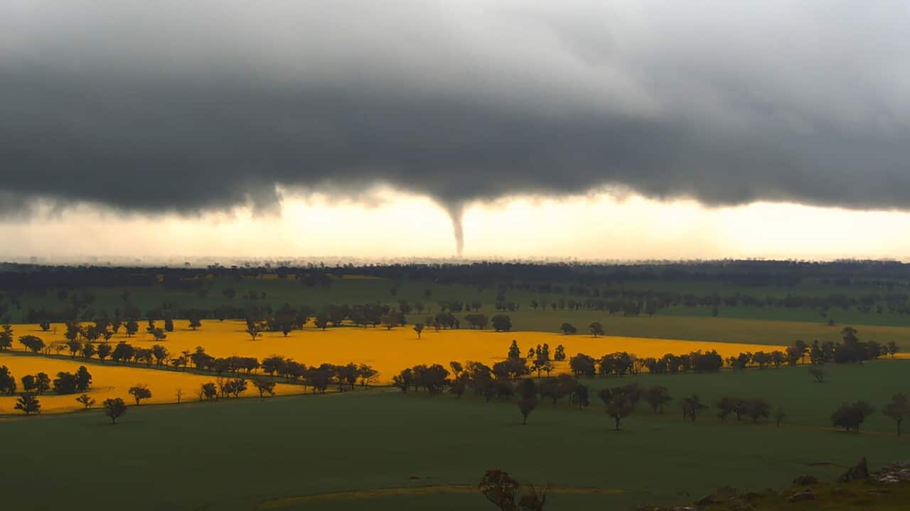WILD WEATHER
