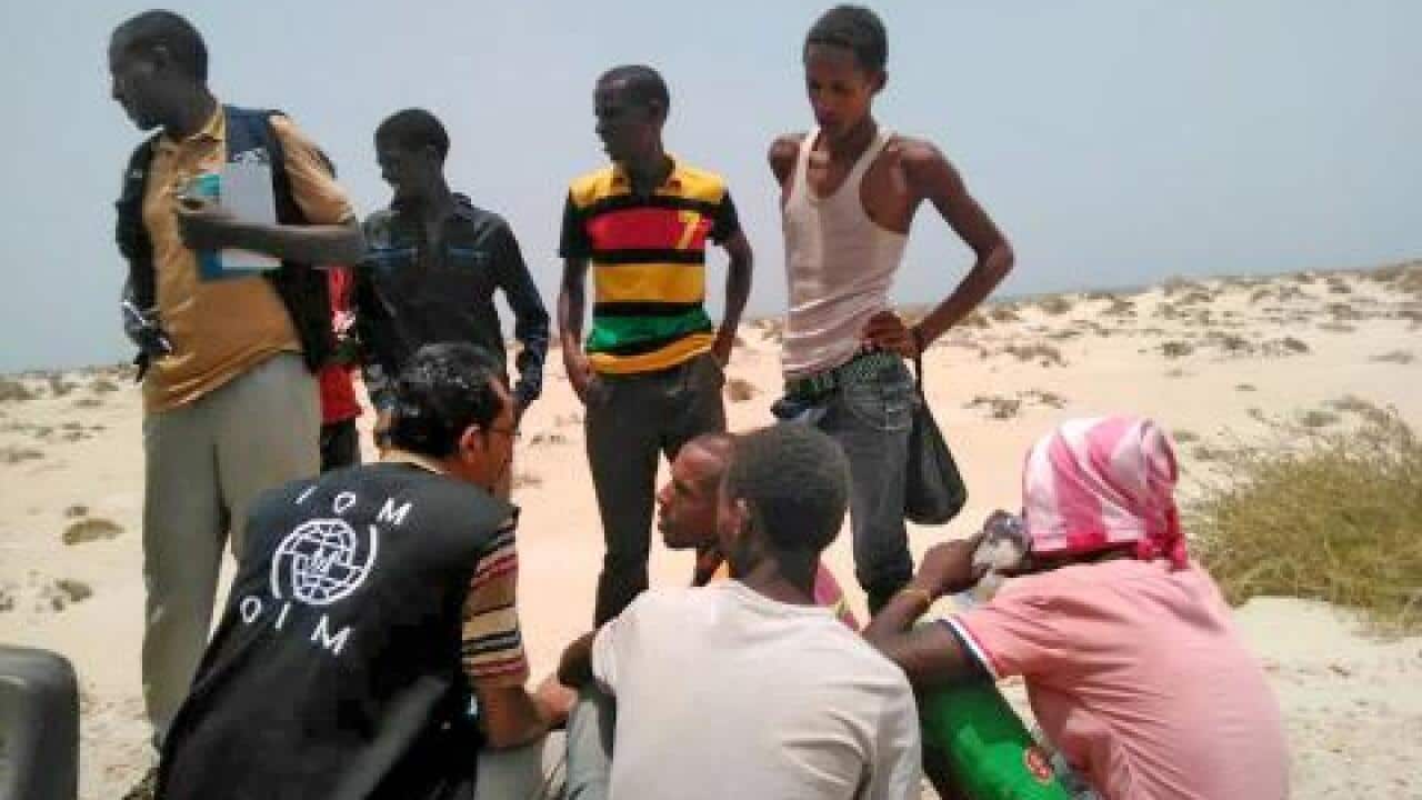 Surviving migrants helped by UN's migration agency on a Yemeni Beach.