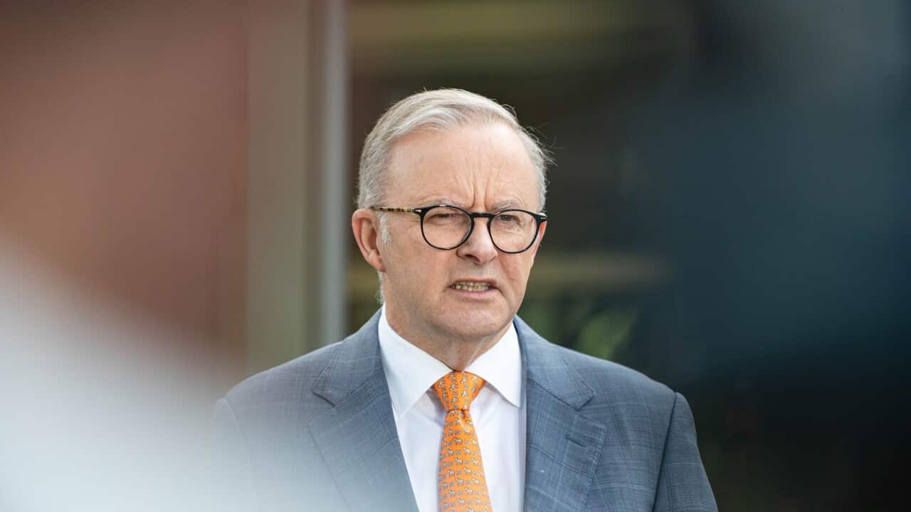 ANTHONY ALBANESE EDUCATION PRESSER