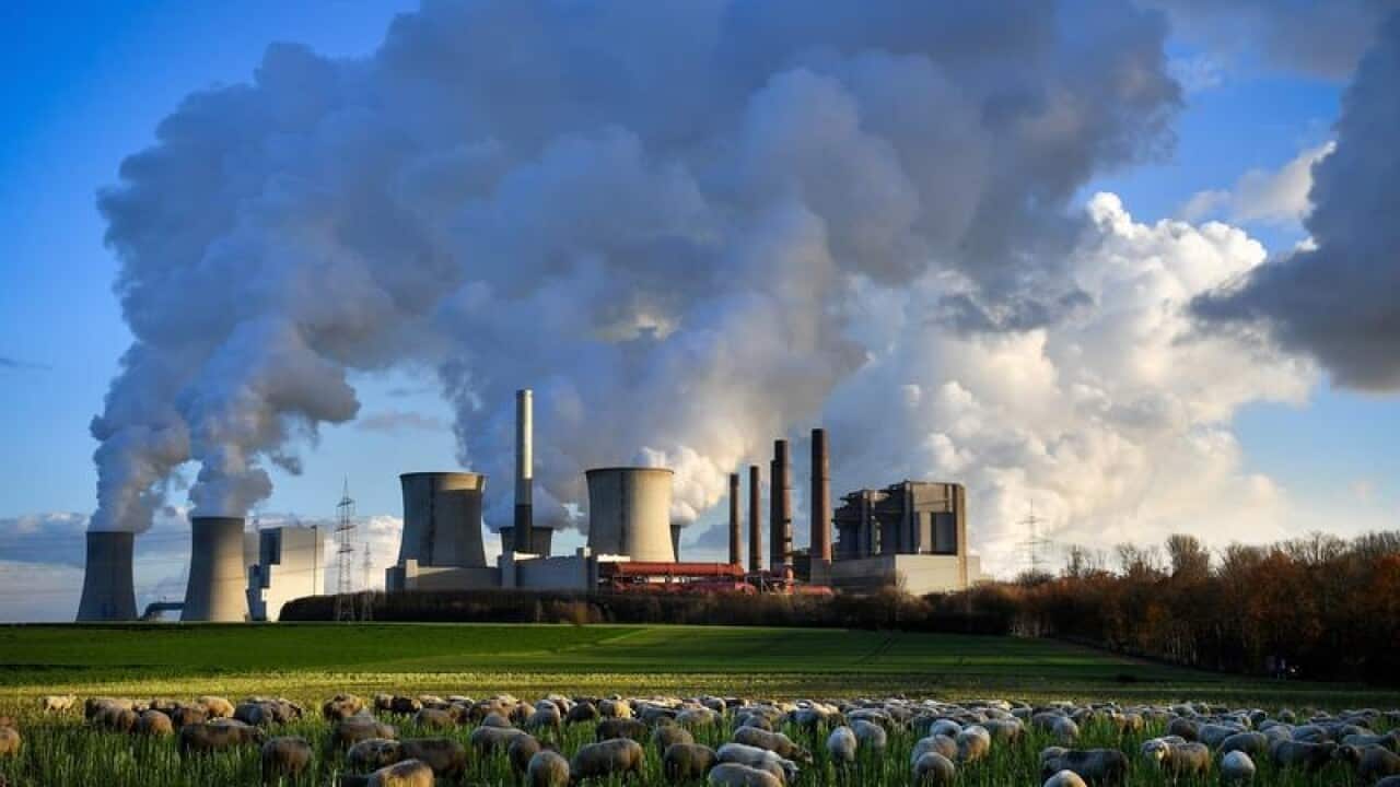 Steam rises from the brown coal-fired power plant in Bergheim.