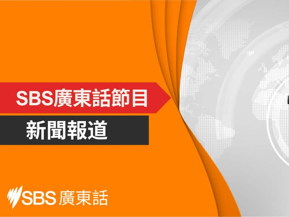 SBS Cantonese News.jpg
