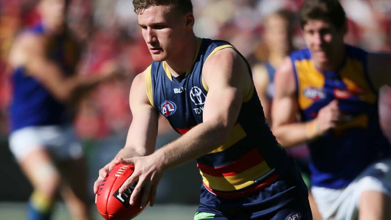 Rory Laird of the Crows