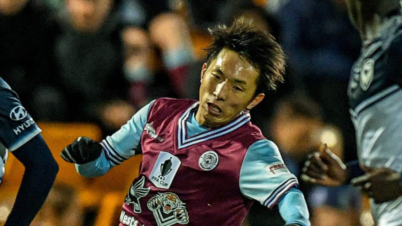 Tasuku Sekiya of the APIA Leichhardt Tigers