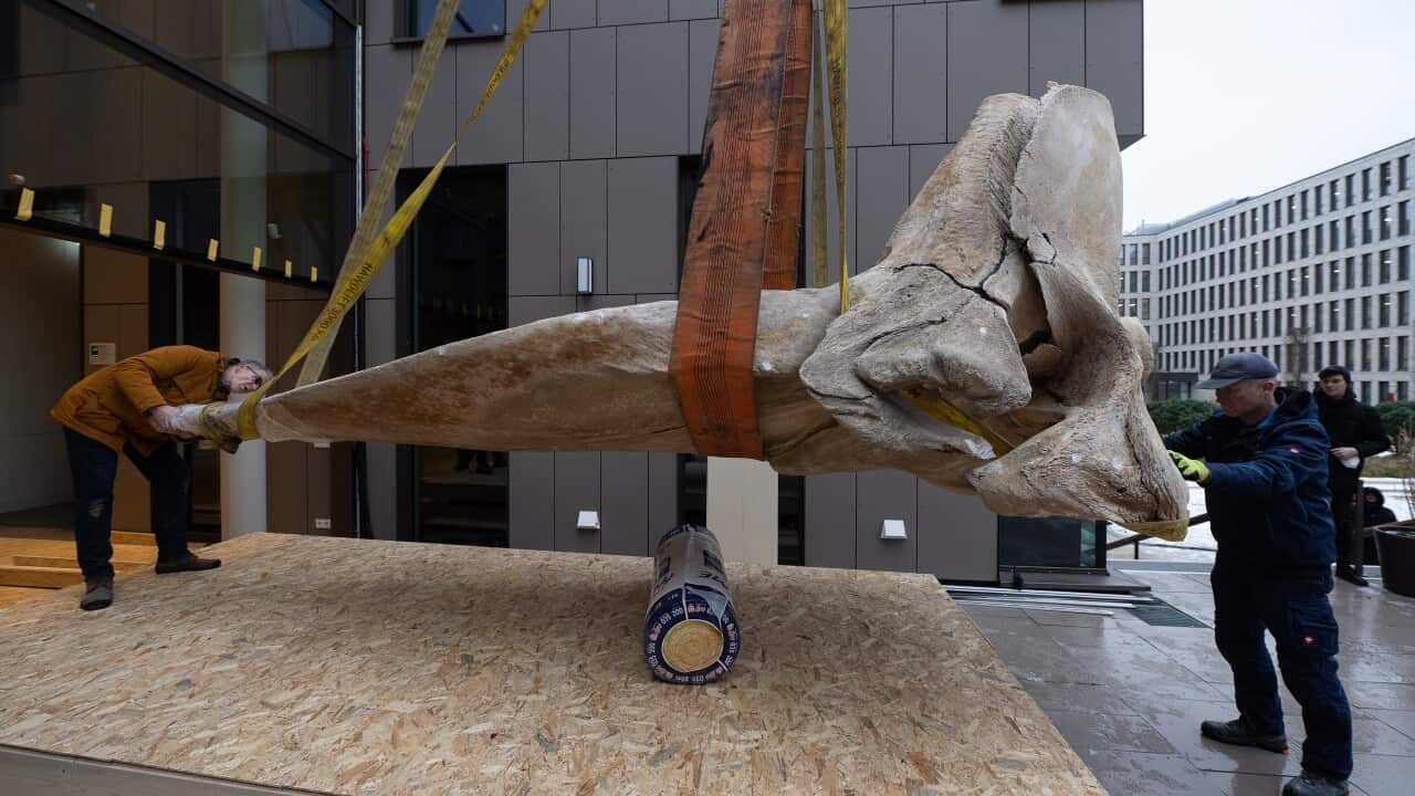 Image for read more article 'Más información:'