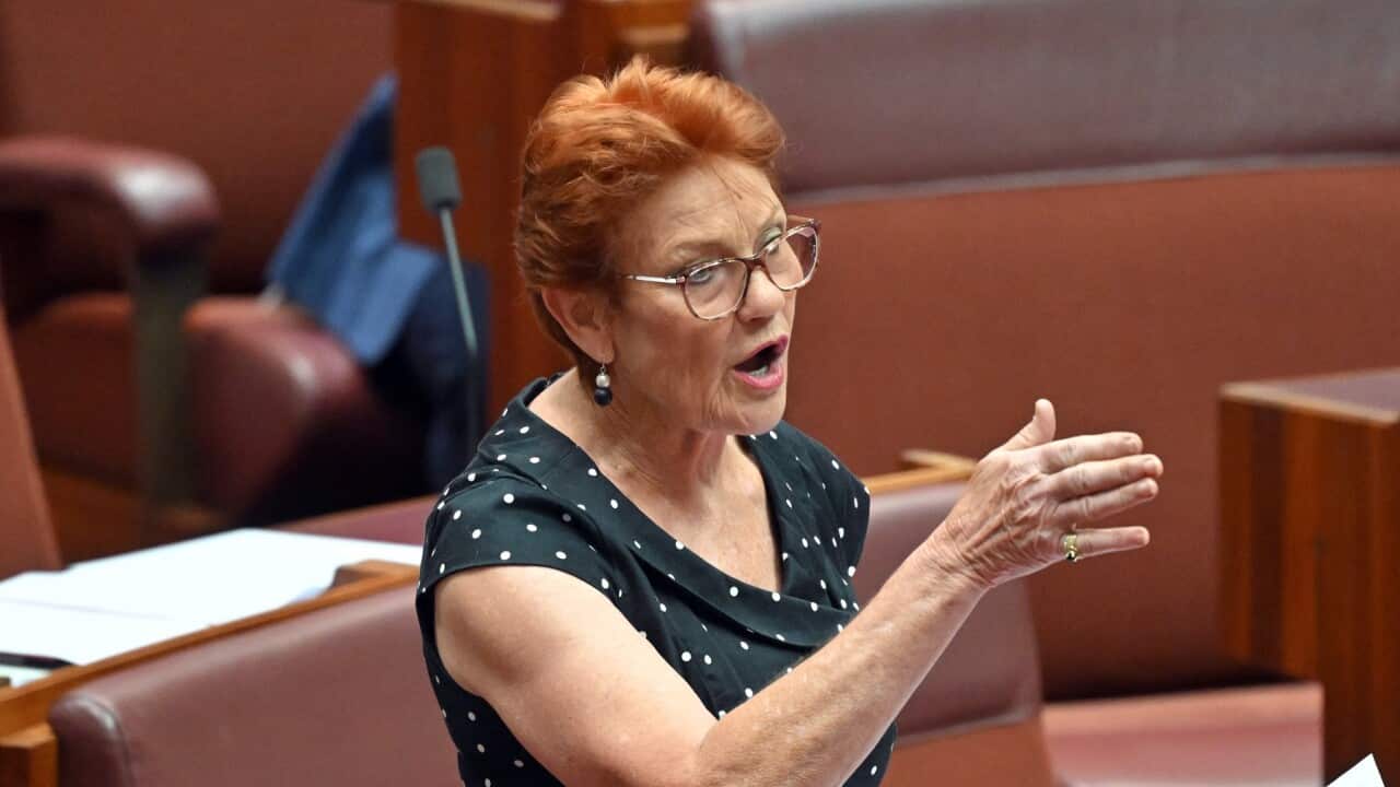 PAULINE HANSON SENATE
