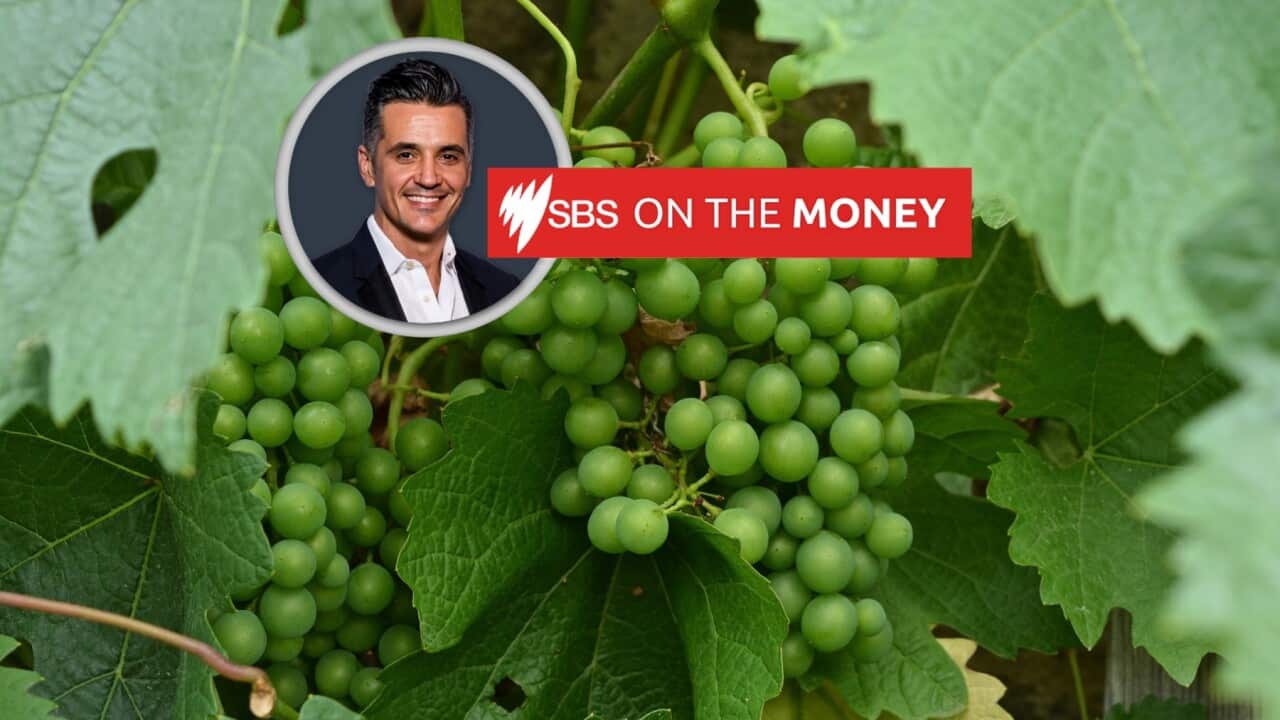 OTM - Wine, vineyards .jpg