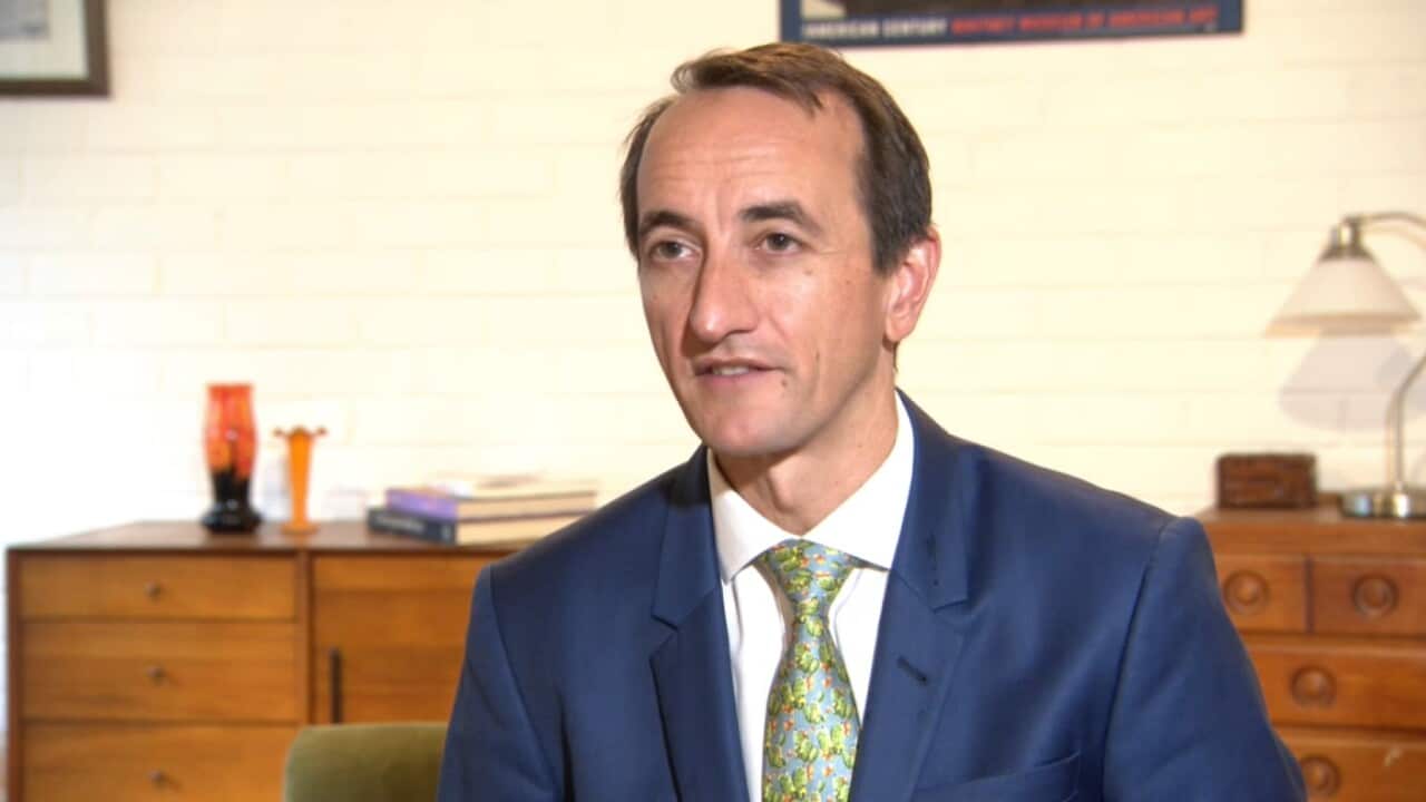 Liberal Senator Dave Sharma (SBS).jpg