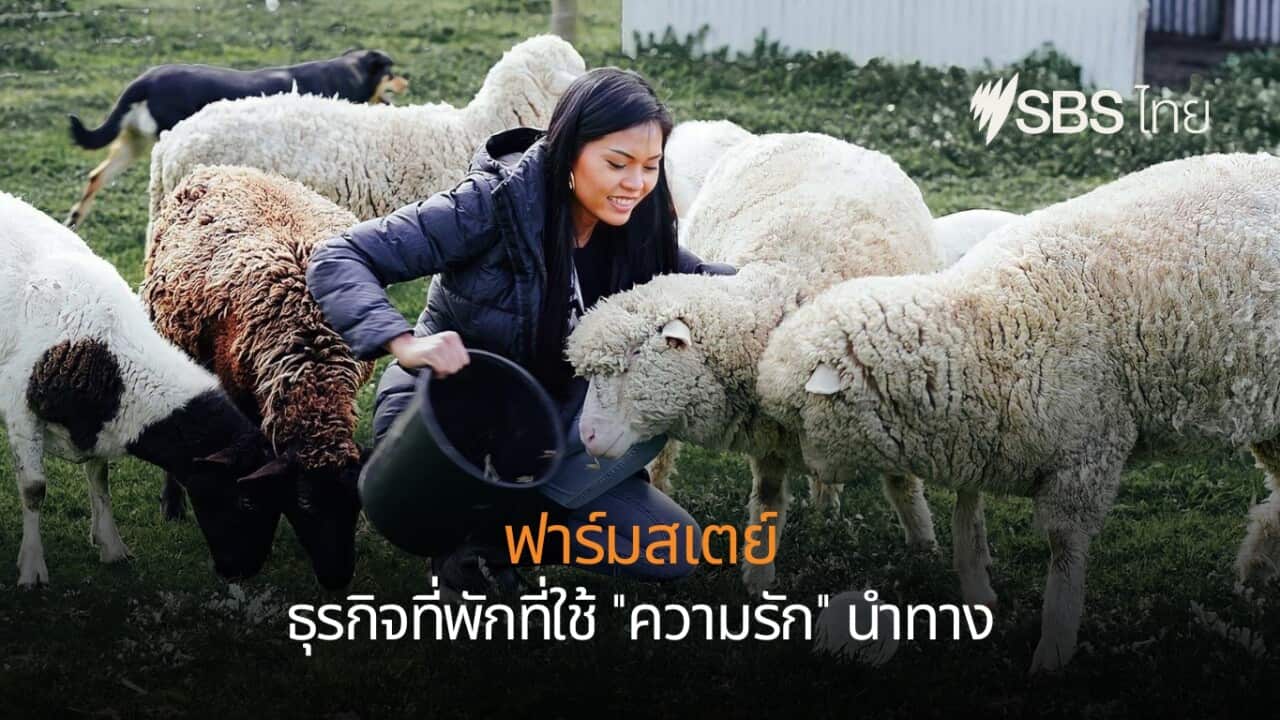 Image for read more article 'เรื่องที่เกี่ยวข้อง'