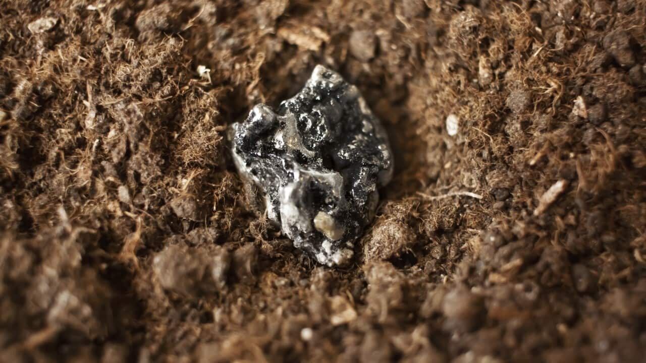 Nadir toprak element metalleri, cevher, elektronik bileşenler, skandiyum, itriyum, lantan, seryum, praseodimyum