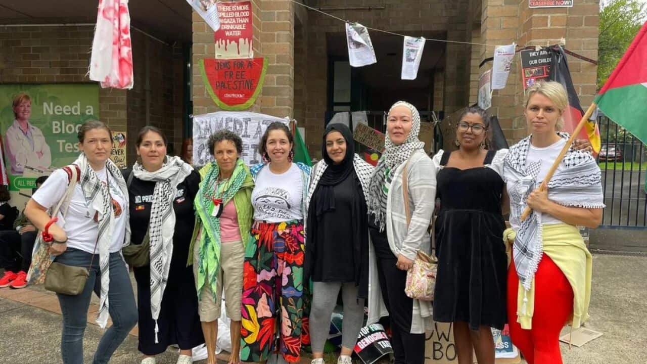 A group of women, many of whom wear black and white Palestinian keffiyehs, stand arm-in-arm for a photo.