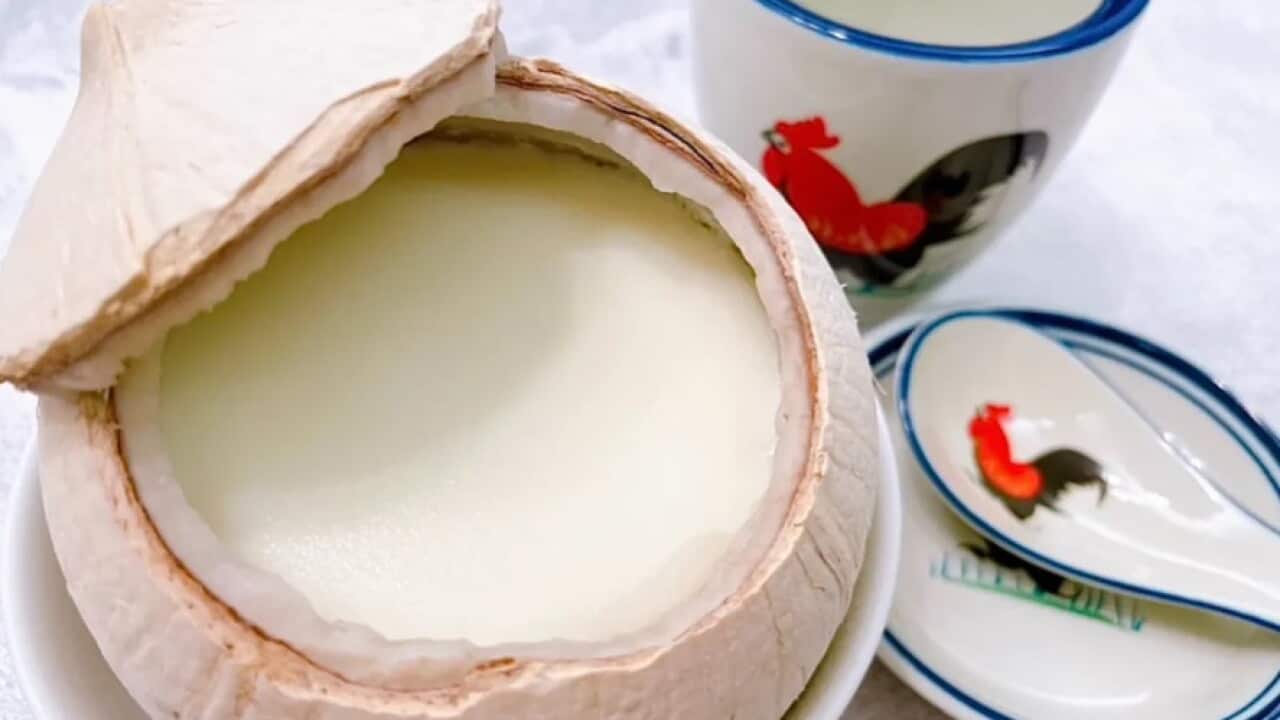 COCONUT.jpg