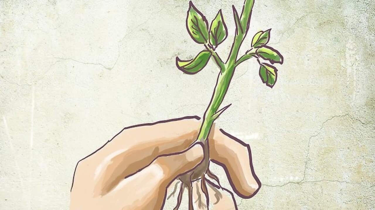 Image for read more article ''