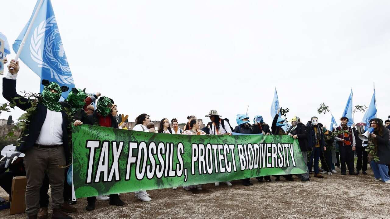 Protesters out the front of biodiversity talks in Rome (AAP).jpg