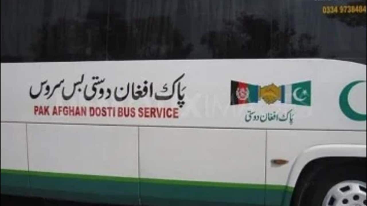 Image for read more article 'READ MORE'