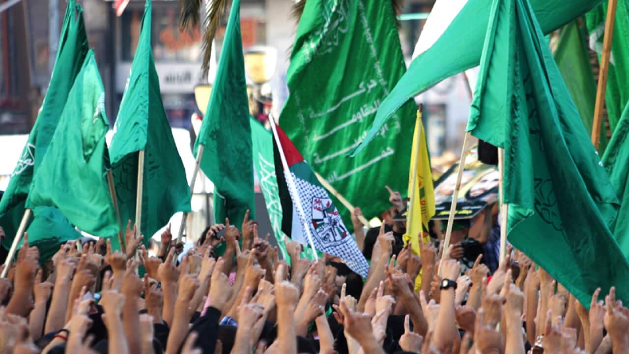 Hamas supporters raise hands and Hamas flags