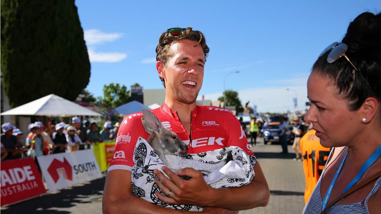 Koen de Kort, Trek Segafredo, UCI WorldTour