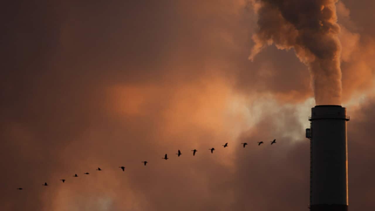 smokestack_B_ap_110413_668232884