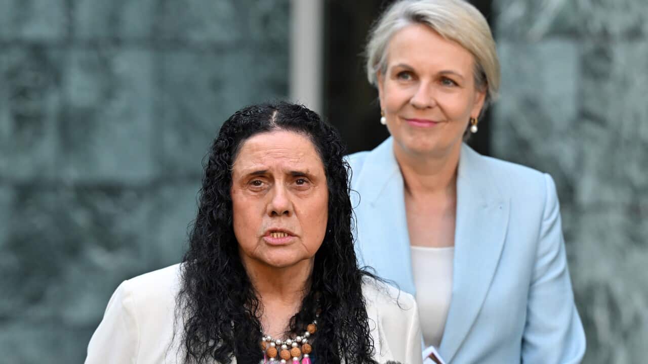 TANYA PLIBERSEK PRESSER