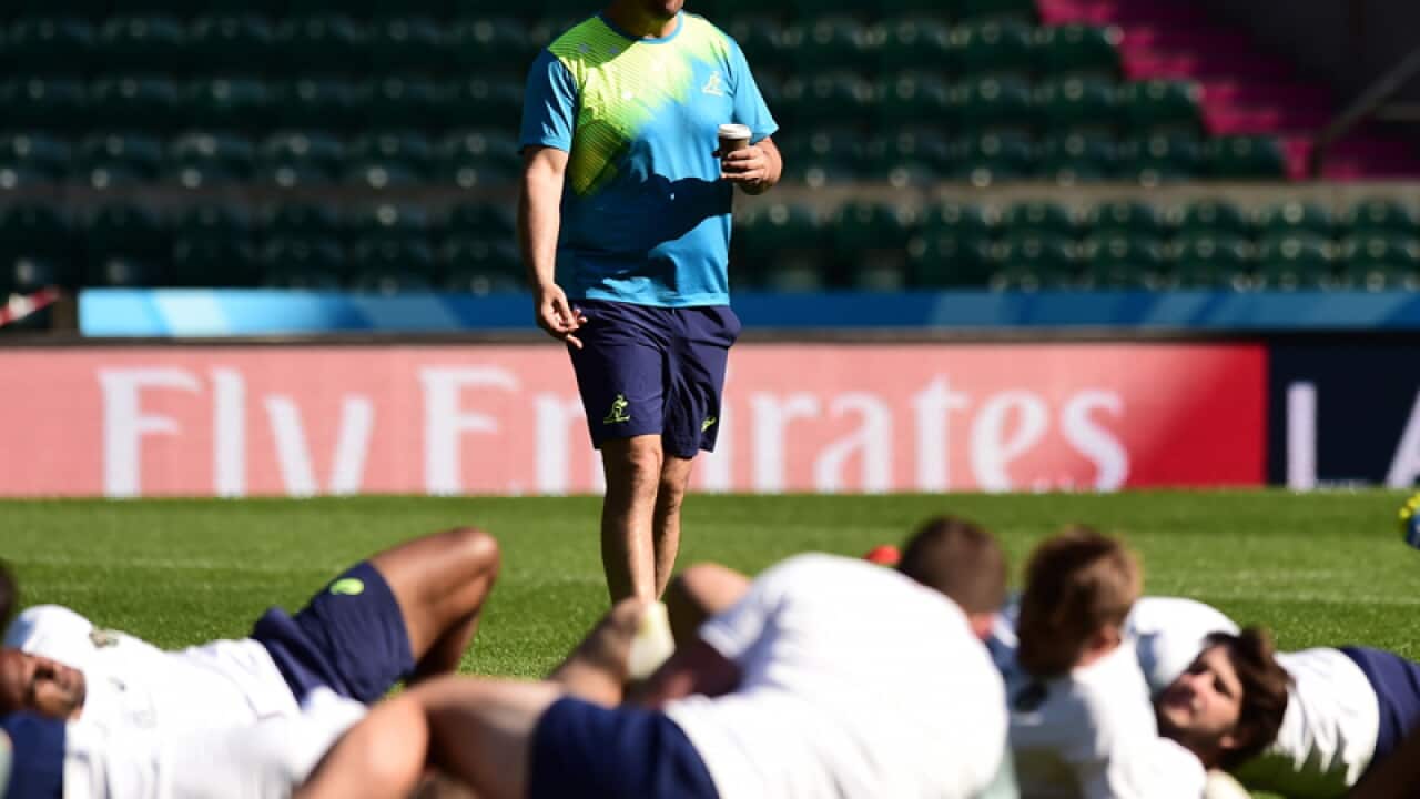 Australia's Coach Michael Cheika during a captains run