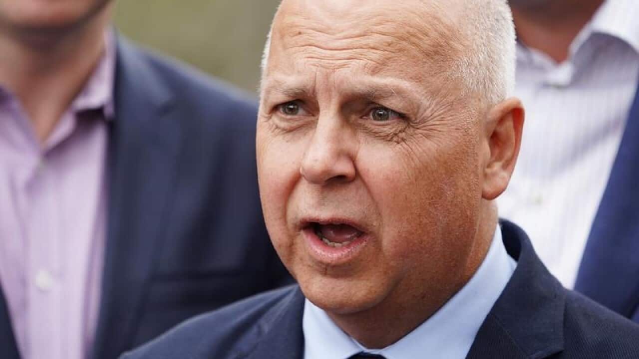 Victorian Treasurer Tim Pallas (file image)