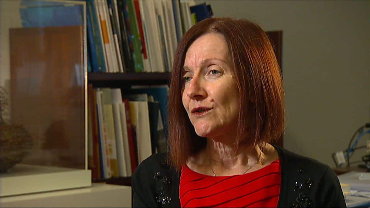 Greens Senator Rachel Siewert