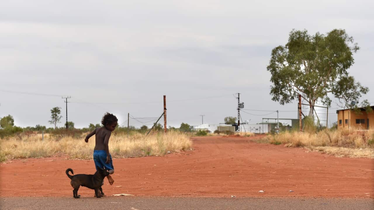 Dramatic decline in doctors see health organisations call on the government to assist