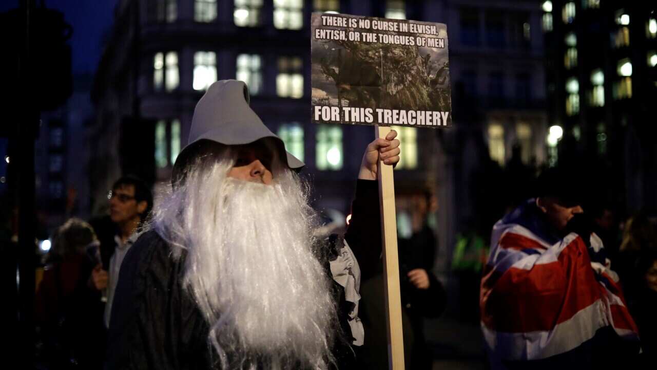 A pro-Brexit demonstrator protests outside the houses of Parliament in London