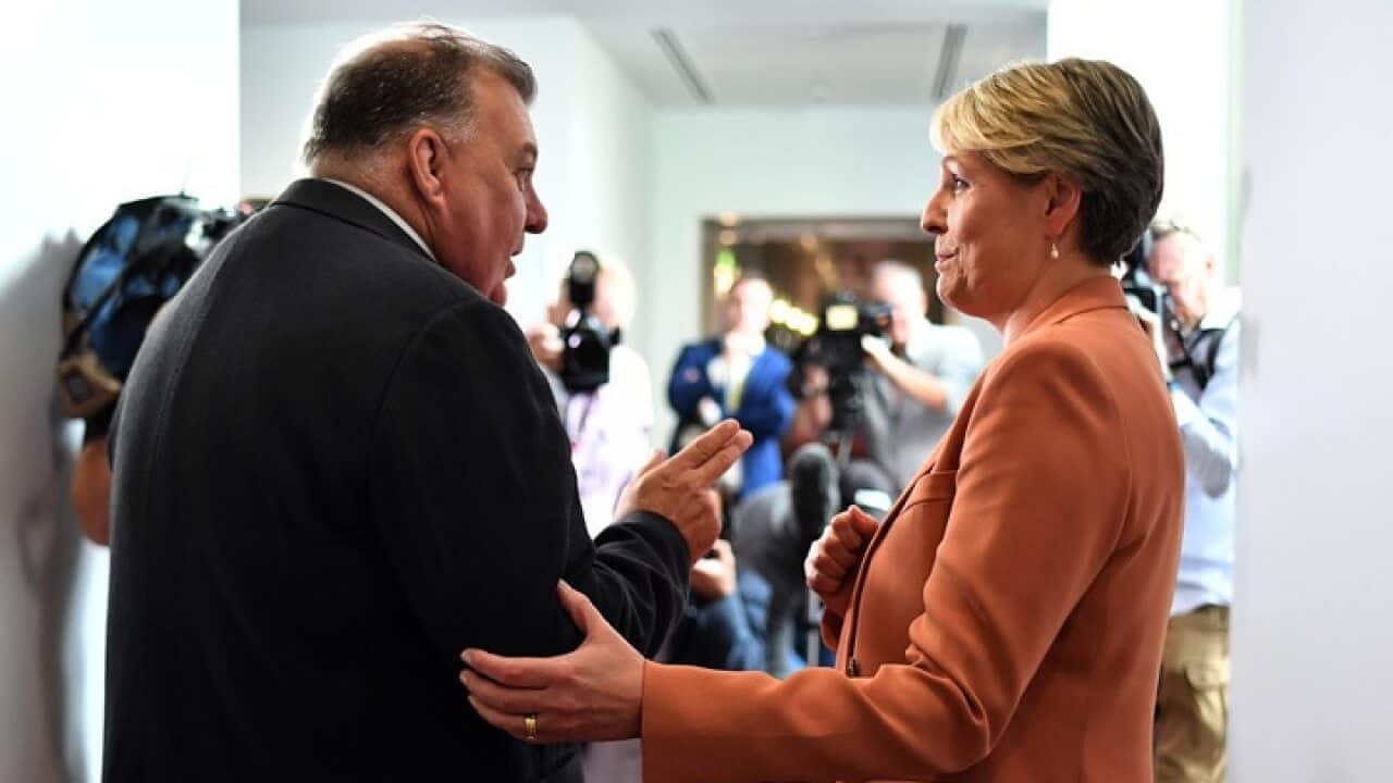Liberal MP Craig Kelly and Labor's Tanya Plibersek argue in the Press Gallery at Parliament House.