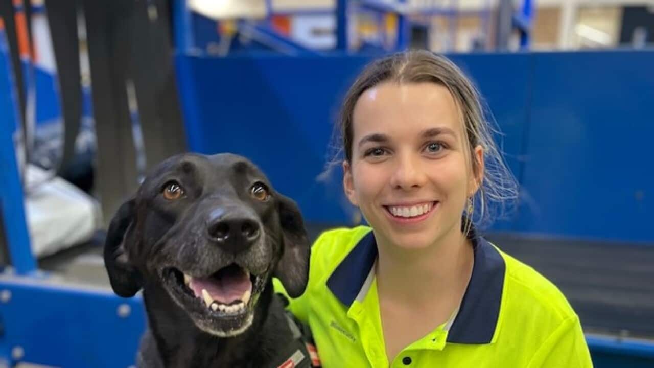 Image for read more article 'READ MORE'