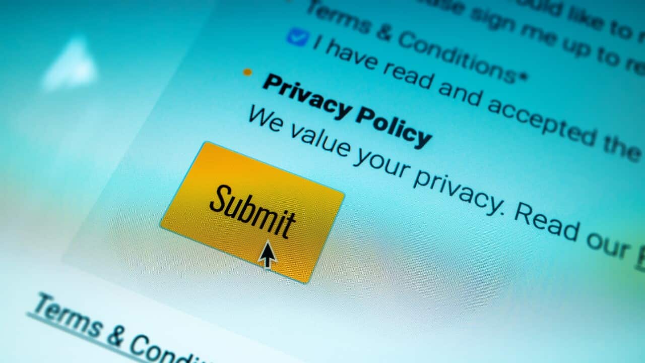 Privacy policy submit button