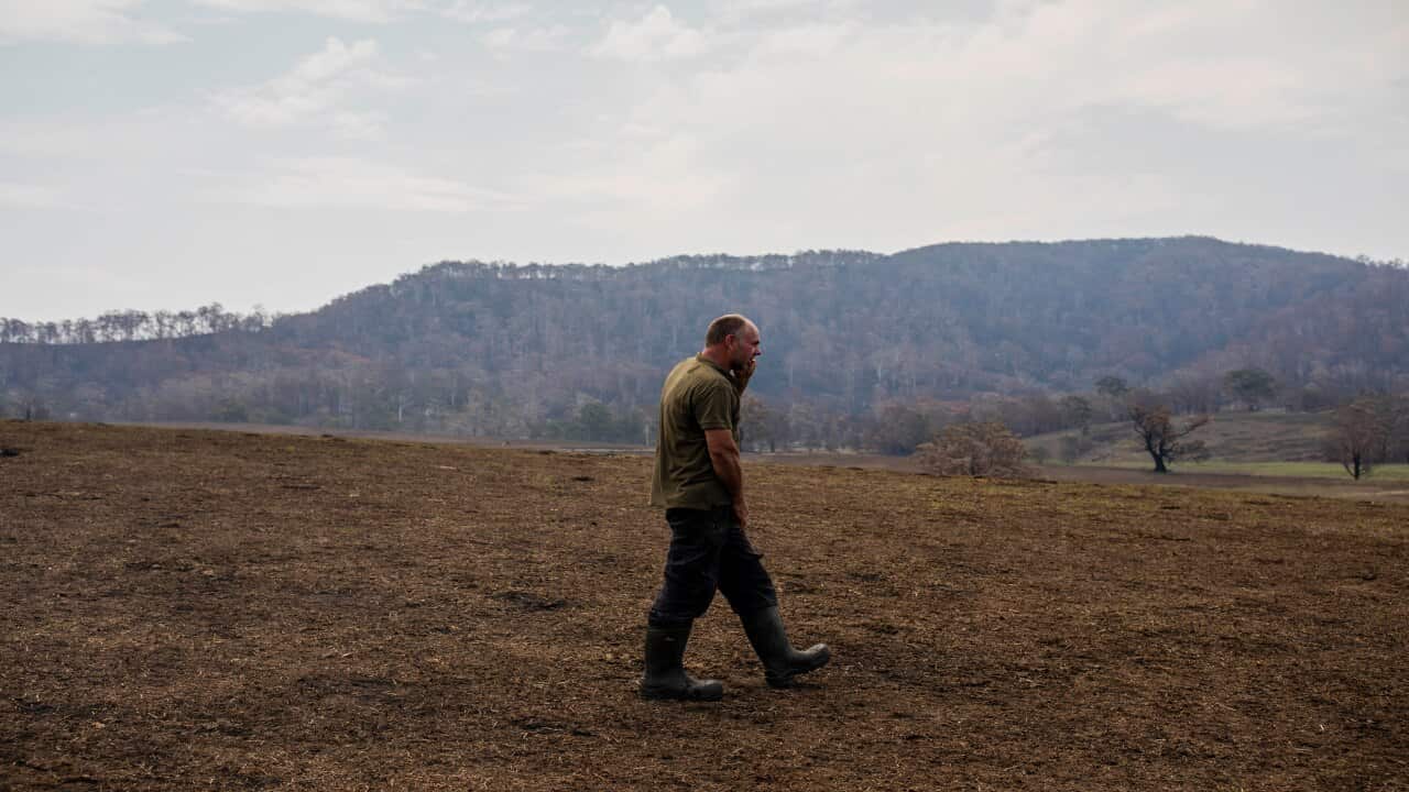 Farmer Farren Terlich is seen on his burnt-out property in Verona, NSW.